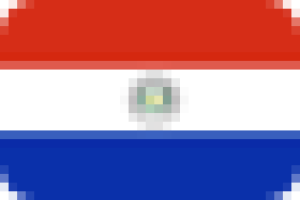 A graphic of the flag of Paraguay