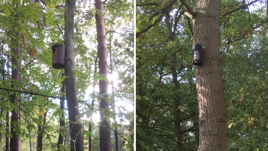Two photographs of an owl box on a tree and a bat box on a tree