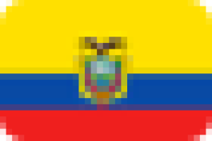 A graphic of the national flag of Ecuador
