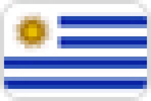 A graphic of the national flag of Uruguay