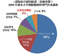 <iNPHとは>