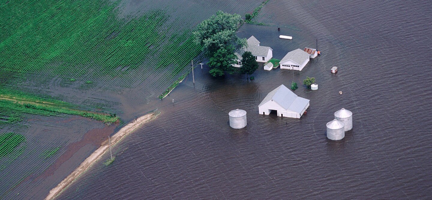 1dbamjulej69 M 1dbamjulej69 M