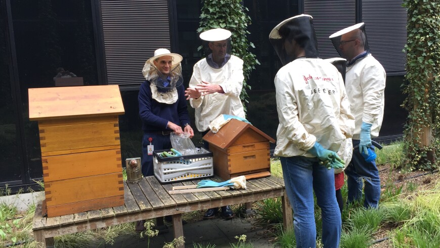 Beekeepers and beehives at the Johnson & Johnson campus in Zug, Switzerland
